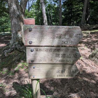 瑞牆山荘からは富士見平まで50分、瑞牆山頂まで3時間弱、金峰山町までは4時間強（ものによってコースタイムには差があります）。