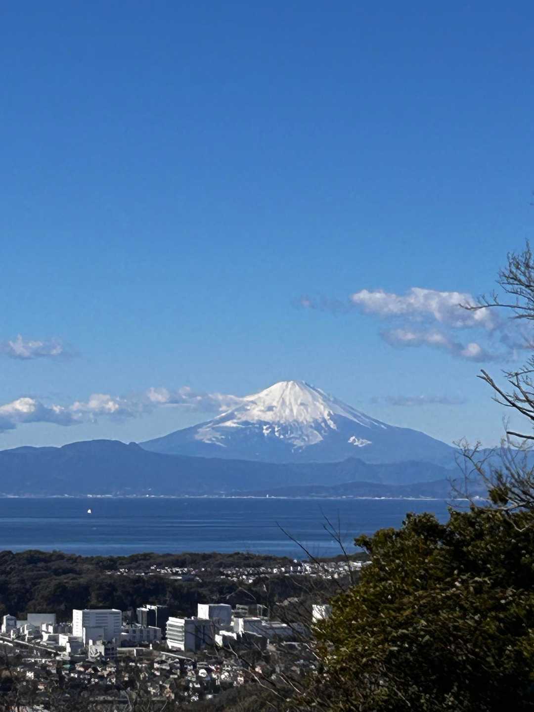 下りで今日1番の美しいお姿！