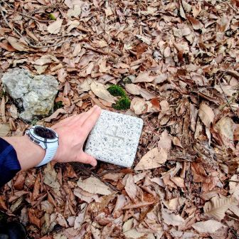 本日何座目だっけ⁉️
ここまで来ると無心