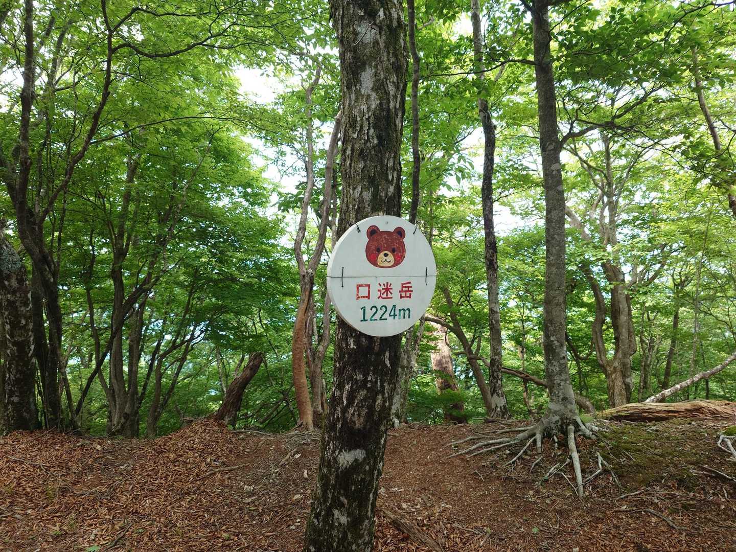 飯盛山（北峰）・飯盛山・迷岳・口迷岳 / チヌプロの登山データ | YAMAP / ヤマップ