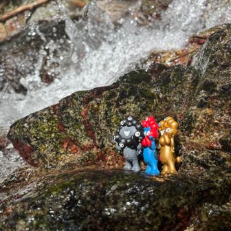 押すなよってゆーてはります💧💧