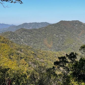 右の平らな辺りが日踊山かな