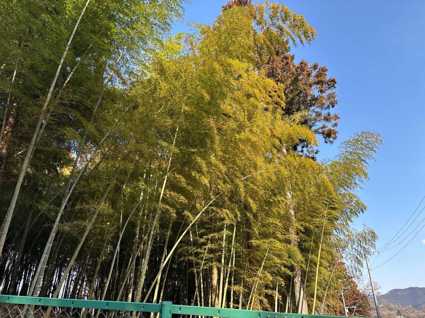 北海道にはない景色