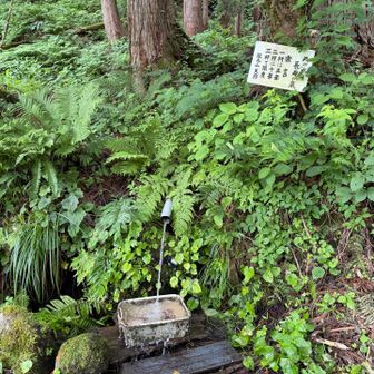 天狗清水でさっぱりして、リハビリ登山は終了です。