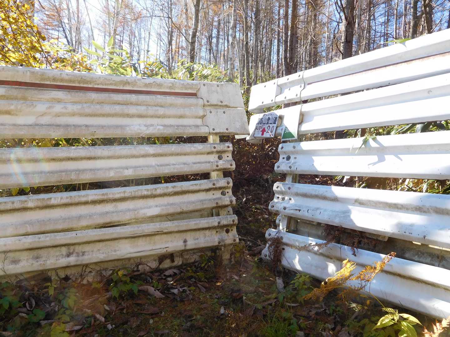 ここが登山道の入り口です。