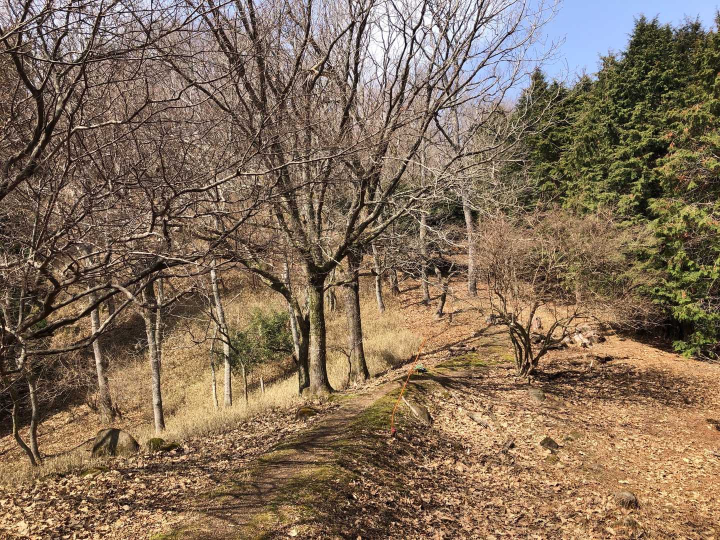 山頂へと続く緩やかな坂道。