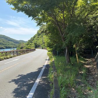 車道の横から取り付き口があります
立花山や三日月山はとても沢山の方々が登られる山ですが、同じ山域の城ノ越山方面はかなり少ないです
やはり眺望などが無いからでしょうか