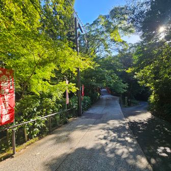 紅葉時期には大変綺麗な場所