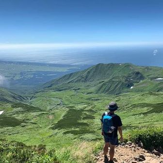 ホタテとリンゴ好き
