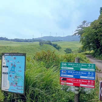 駐車場眼の前に登山口
右からいくのが正解だった😣
