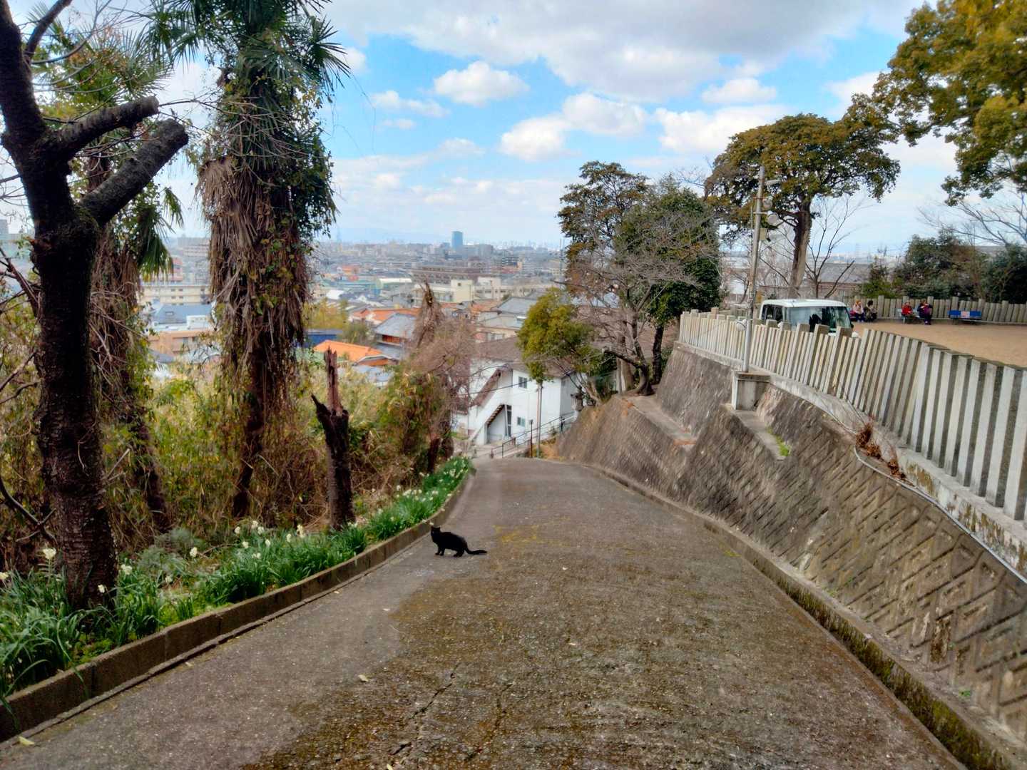 黒ネコちゃんに見送られて帰りましょう‼️
お疲れ山でしたー😌