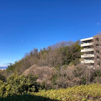 女山⛰
マンションに隣接しているピーク。私有地なので100mルールでゲット。