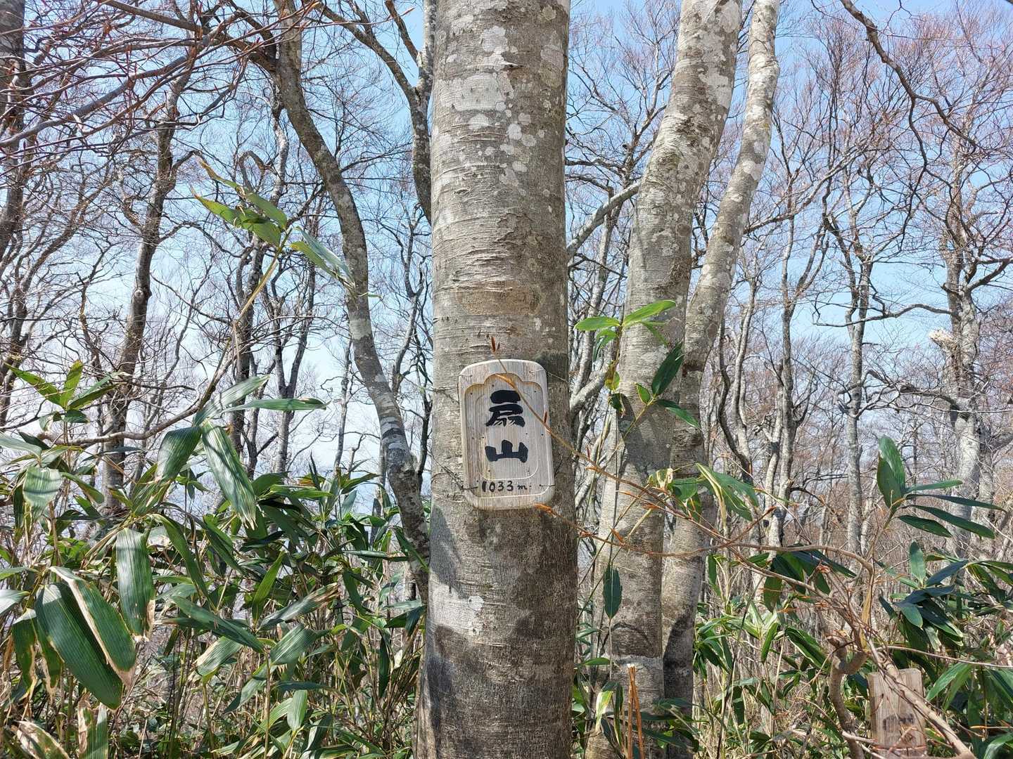 扇山山頂です💚