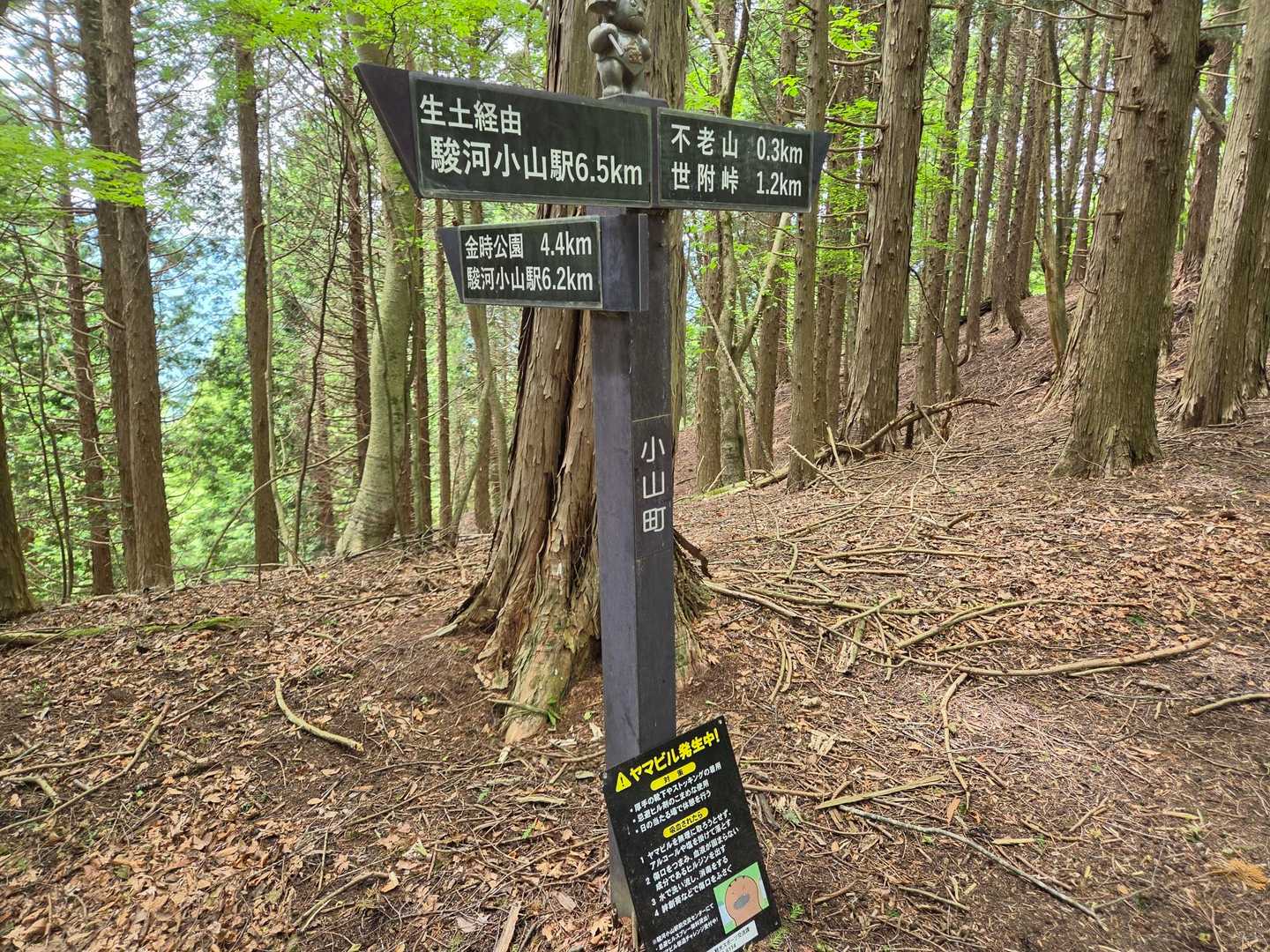 ヤマビル注意の看板あり。尾根をはずれて林道から金時公園へ降りるコースへ。