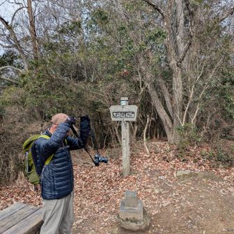 大谷山 山頂