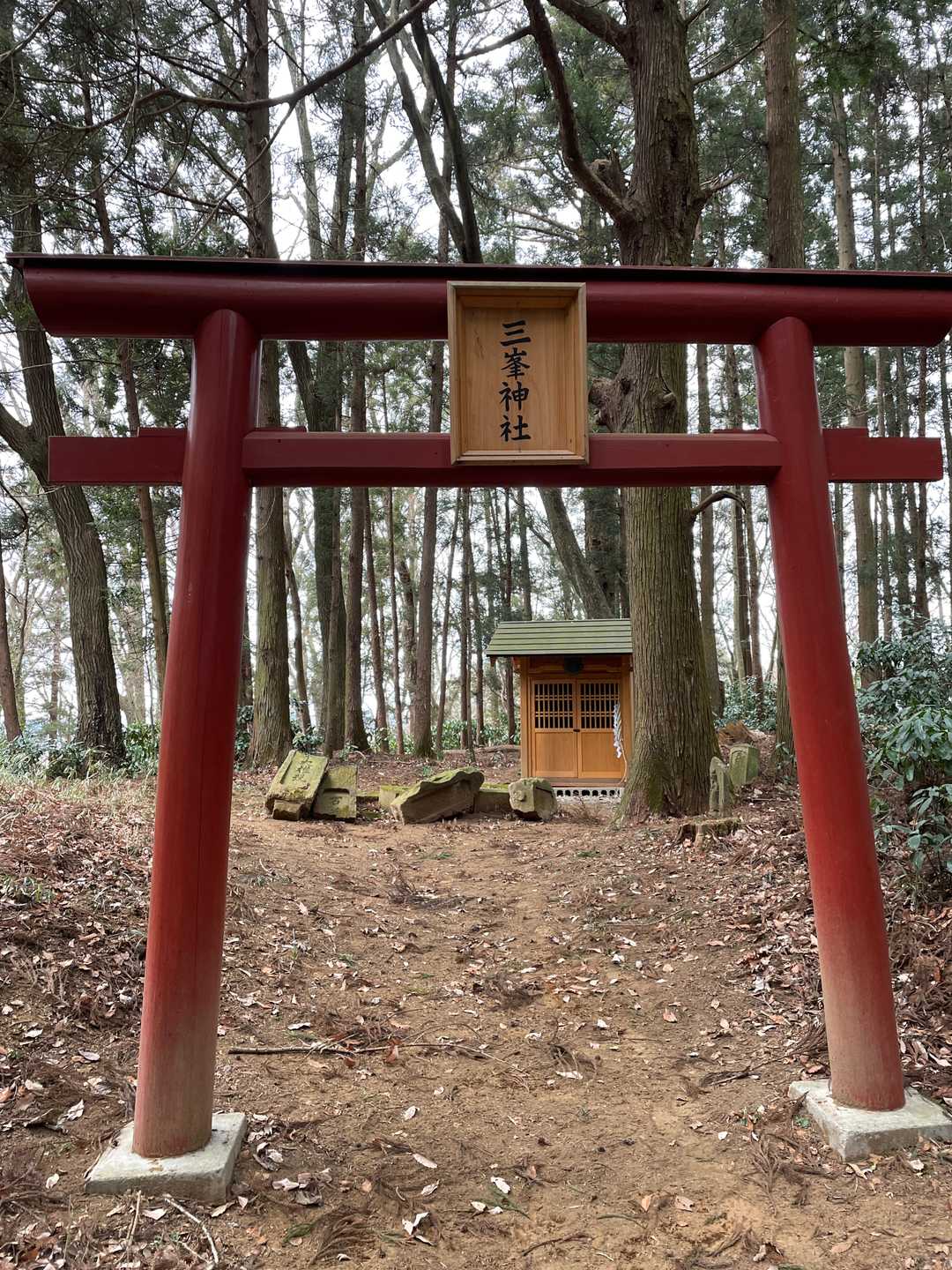 最終的にはこちらに行き付きます。「三峯神社」。新調されたような趣。