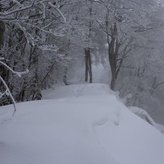 山頂から望むスキー場方向。この通りトレースはあるのですが、新たに降った雪で若干あやふやになっていました。