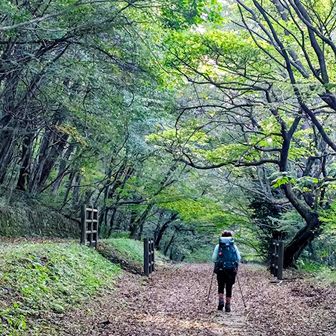 お手軽な自然観察コース
名号登山口～姫逃池登山口  🍀 🎶