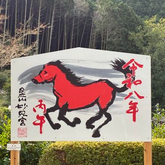 来年は午年🐴馬の様に強い足が欲しい