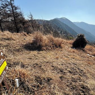 赤ゾレ山山頂は広い♪
いちばん向こうは前山かな🏔️