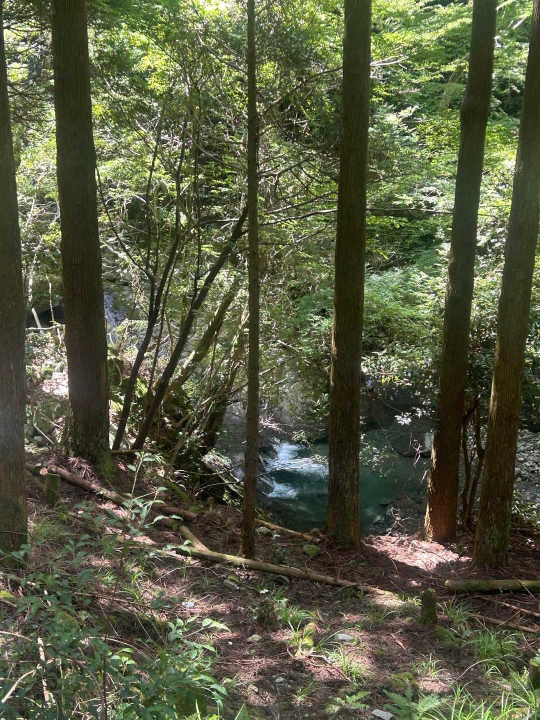 ずっと横に川があるっすね