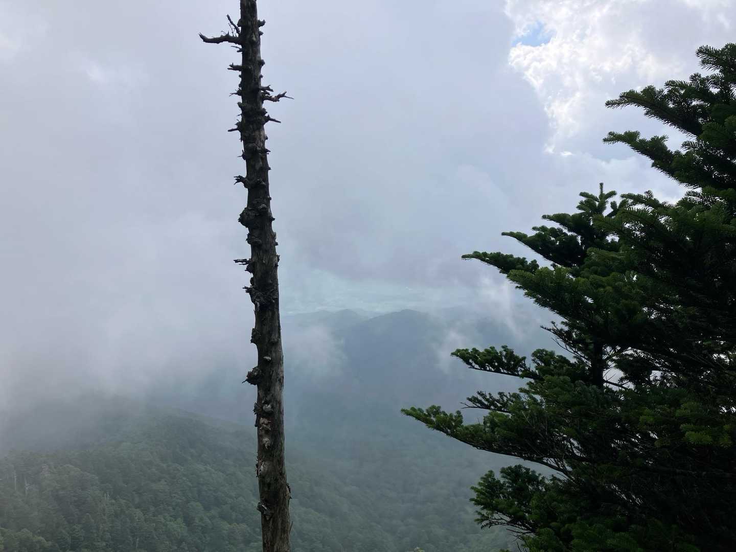 四阿山 往復コースの写真