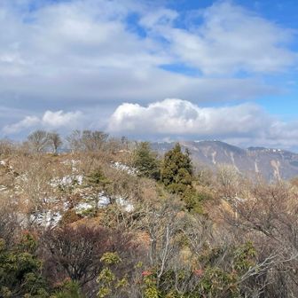三池岳から竜ヶ岳を眺めて