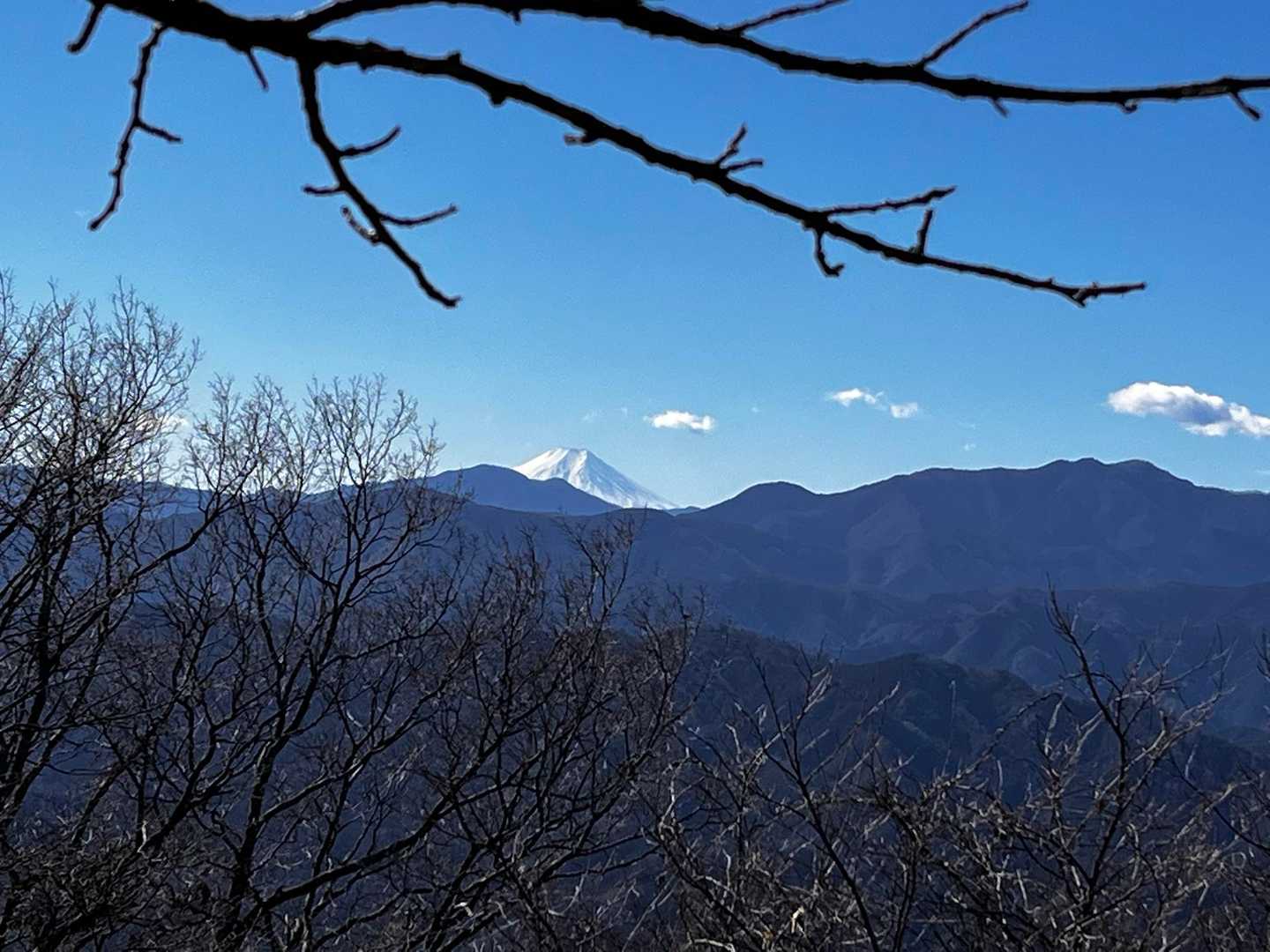 富士山ひょっこり