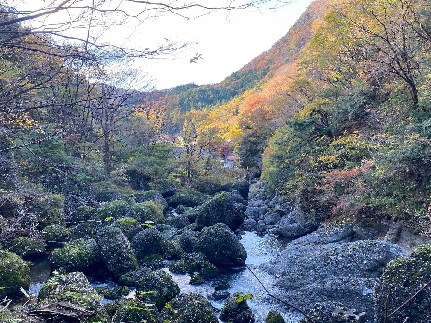 下山中もご夫婦の事を色々思い出して、たくさん笑って本当に楽しかった🤣良き出逢いに感謝です🎵ヤマッパーじゃなくて残念💧
最後は袋田の滝を見に行きます✨