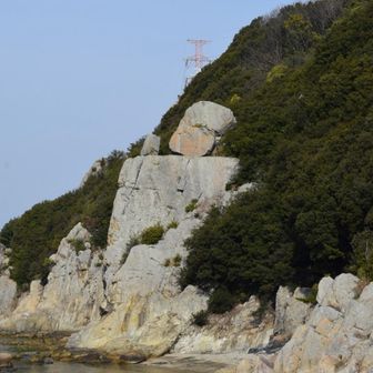 乗ってるだけ？？😱