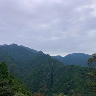 仙ケ岳と野登山