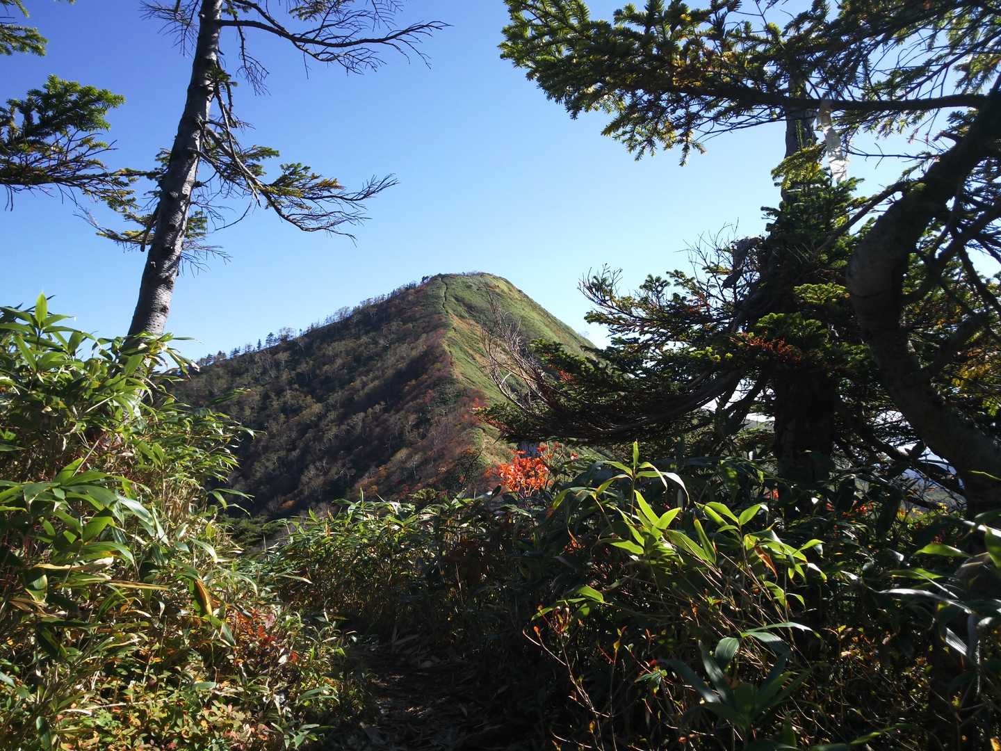 地蔵山-猟師の頭-白砂山-中尾根の頭-黒渋の頭-八間山 周回コースの写真