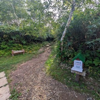 登山計画書を記入して登山を開始しました。この時点ではほかに3名が登山しており、そのうち1名はすでに下山を完了していました。