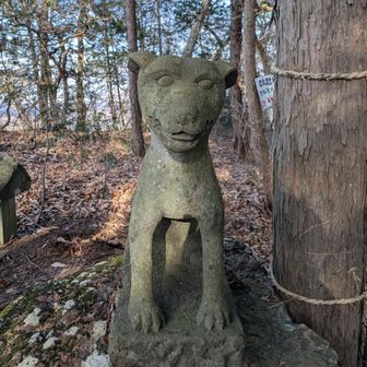 こっちも可愛い狛犬