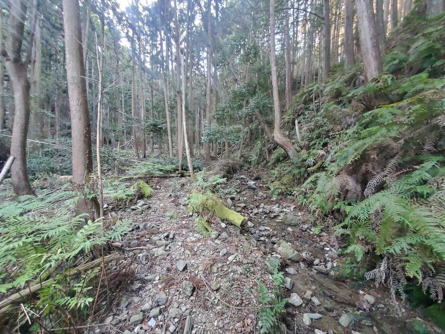 せせらぎコースから登ります。