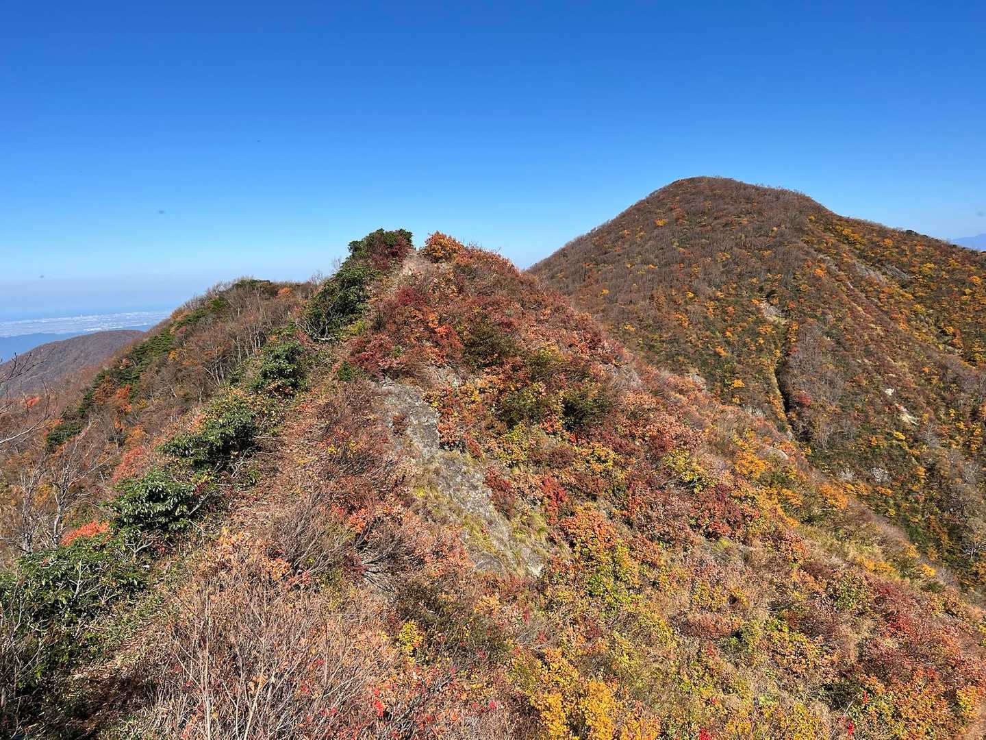 七頭
