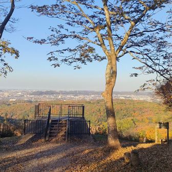 展望台から帰り方向、少し迷いました。