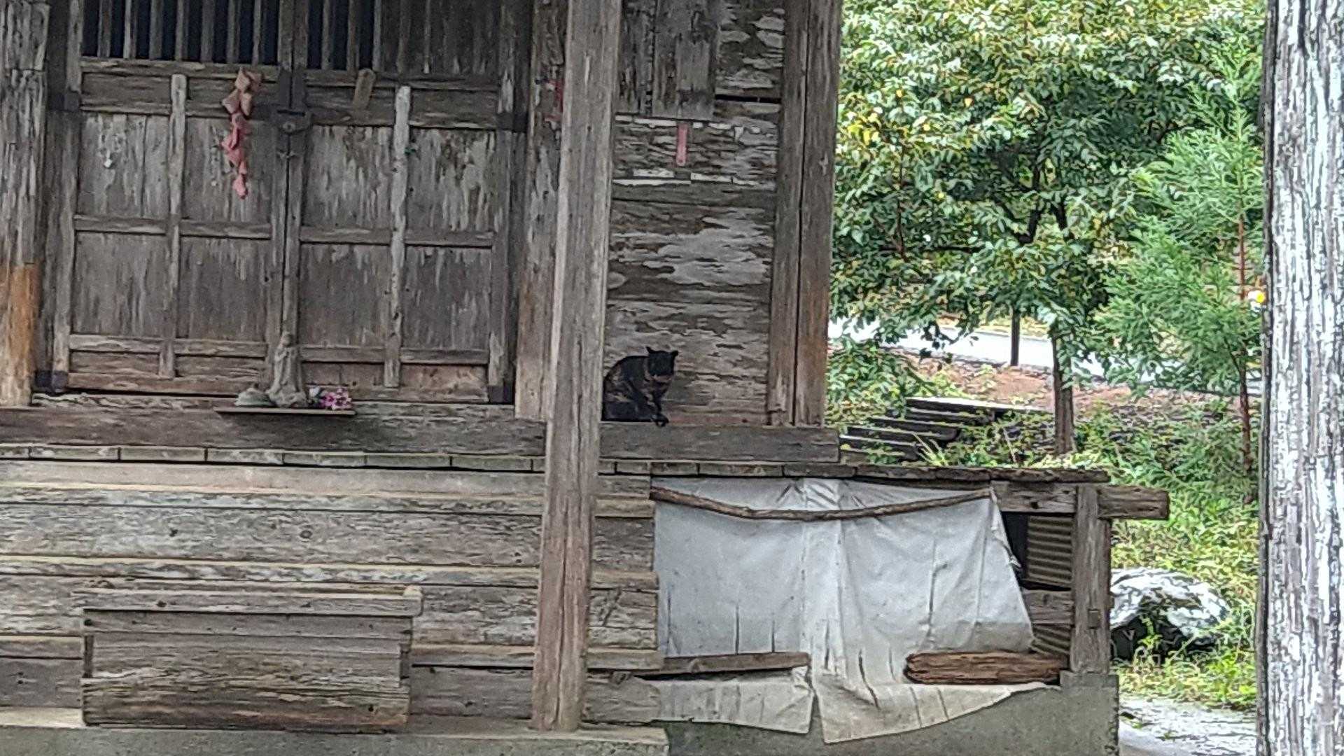 お分かり頂けただろうか？


©でかたる