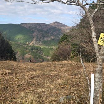 福智山が見える