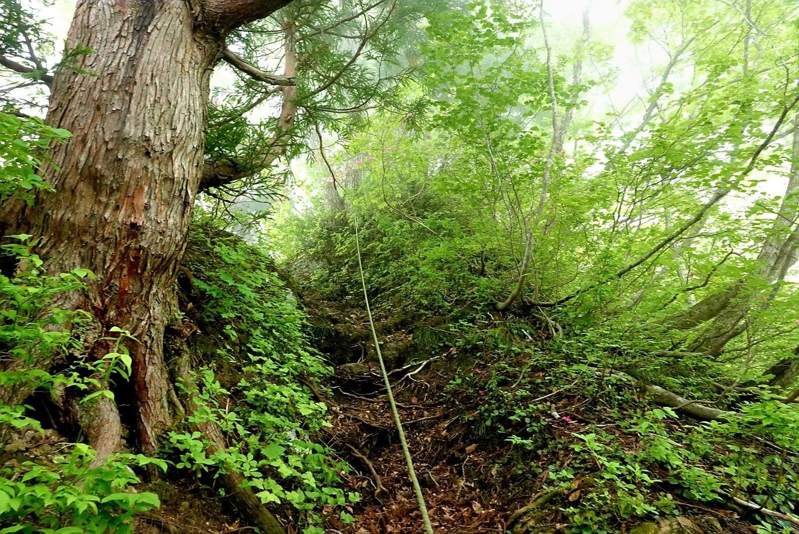 高清水山 往復コースの写真