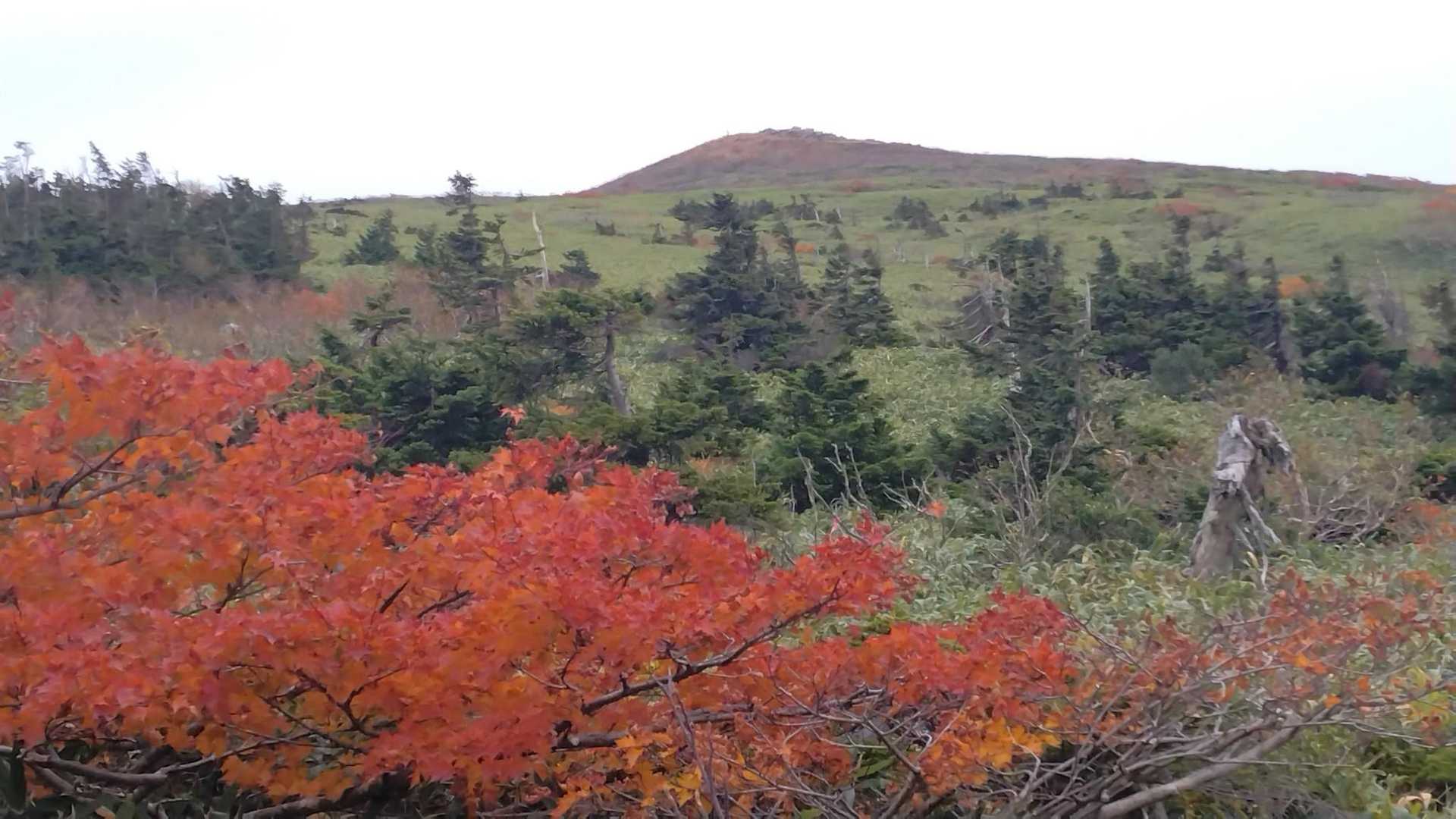 大釜温泉登山口-烏帽子岳 周回コースの写真