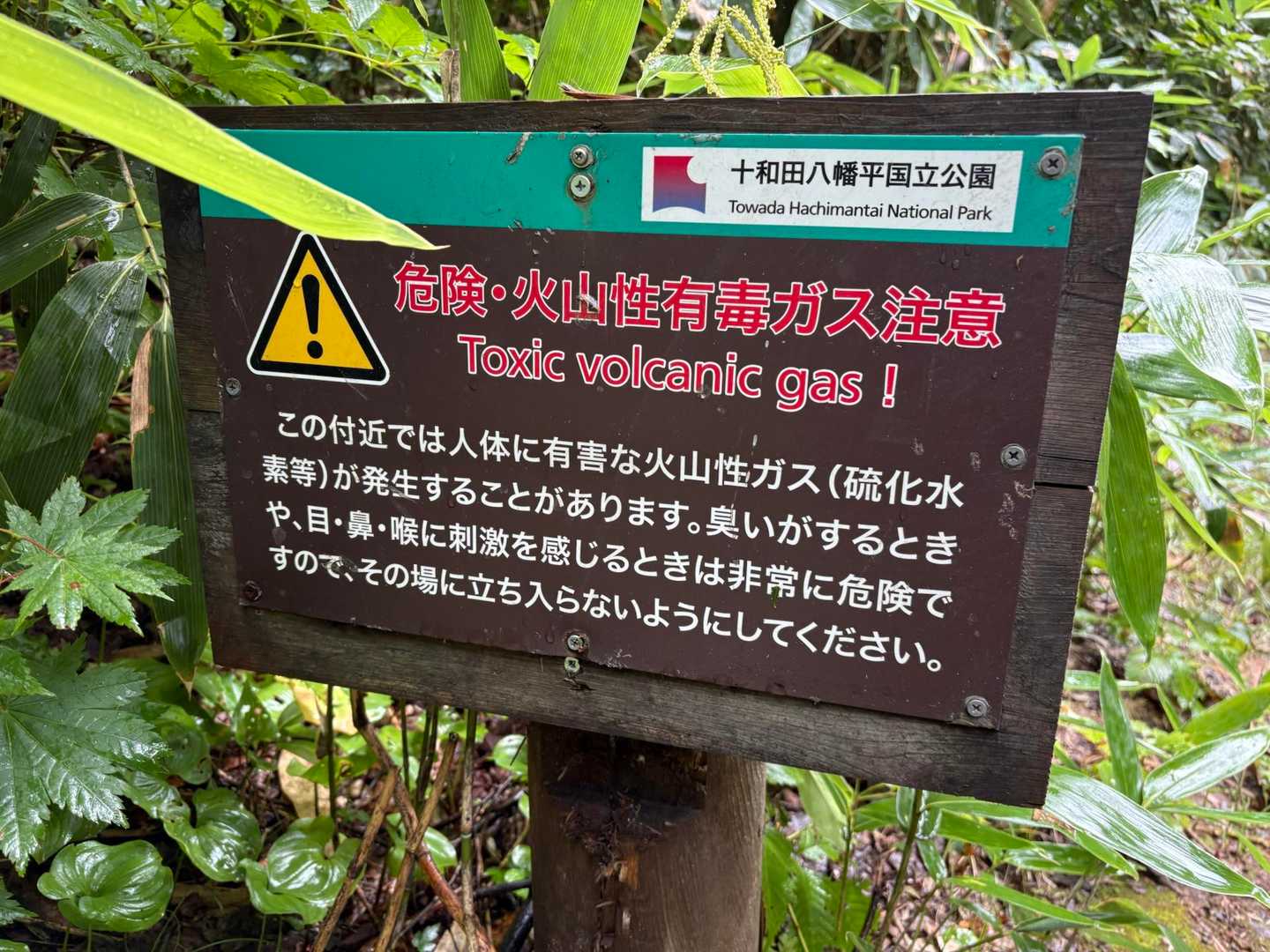 ガスも濃くなりません様に🙏