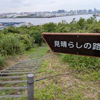 後からここを歩きました
なぜなら、この先に行ってみたら、イベント準備の為に歩けない道だったからです…。