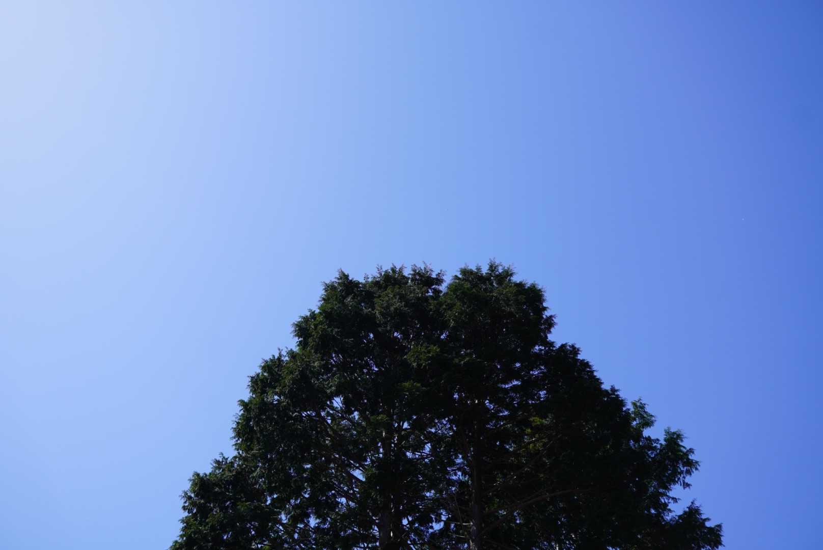 奥海越-日名倉山 往復コースの写真