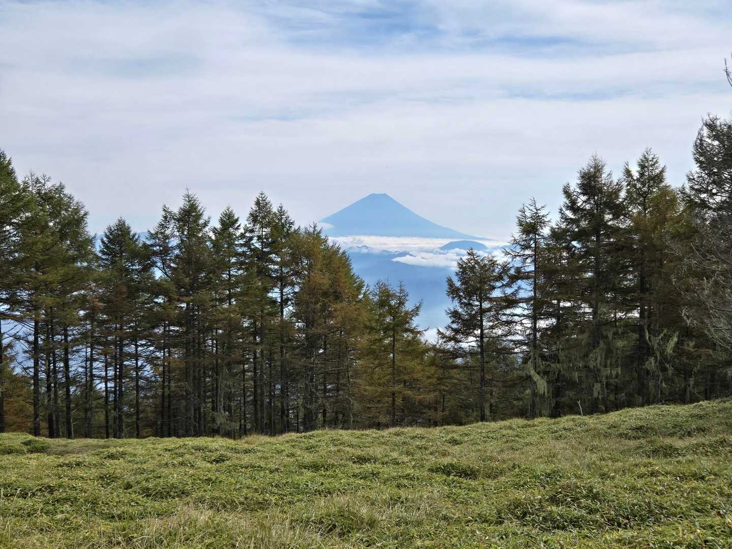 甘利山登山口-甘利山-大西峰 往復コースの写真