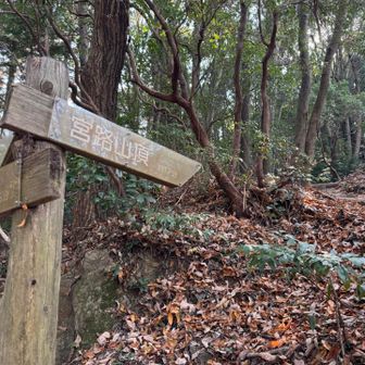 山頂を目指します