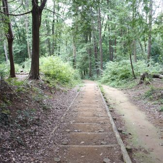 天覧山に向かいます