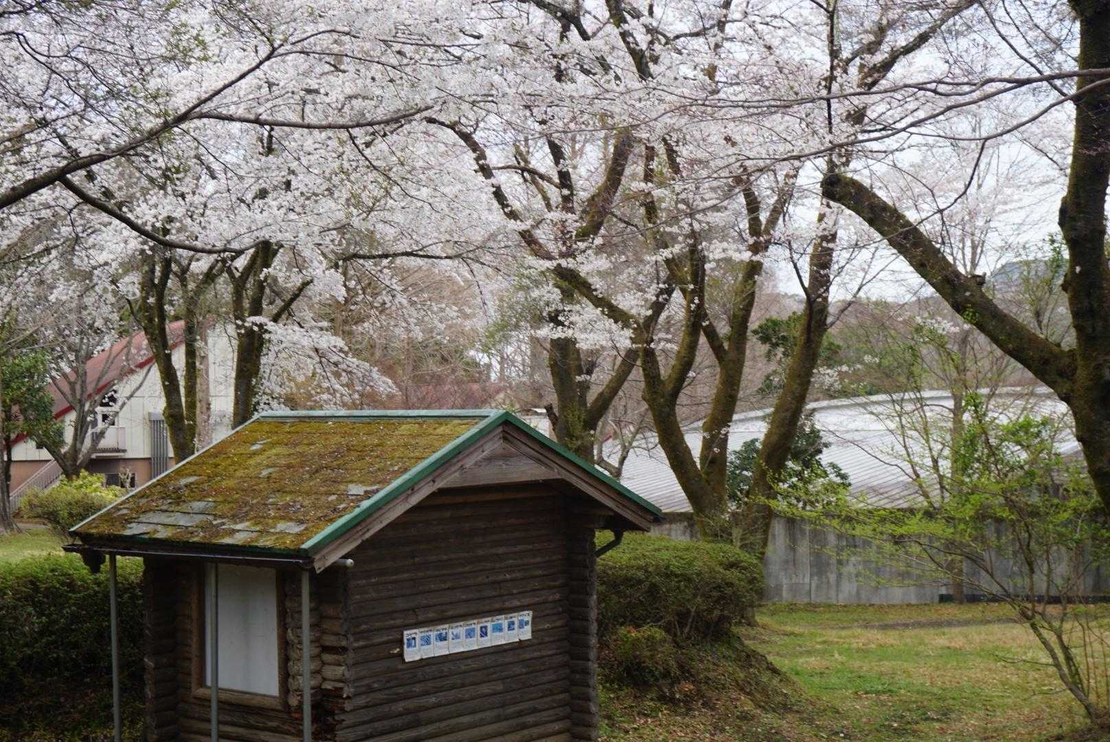 水とエネルギー館-高取山 周回コースの写真