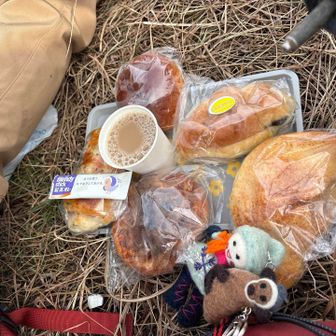 風が強くて寒いけど、風裏で山飯
吉備SAで4割引w