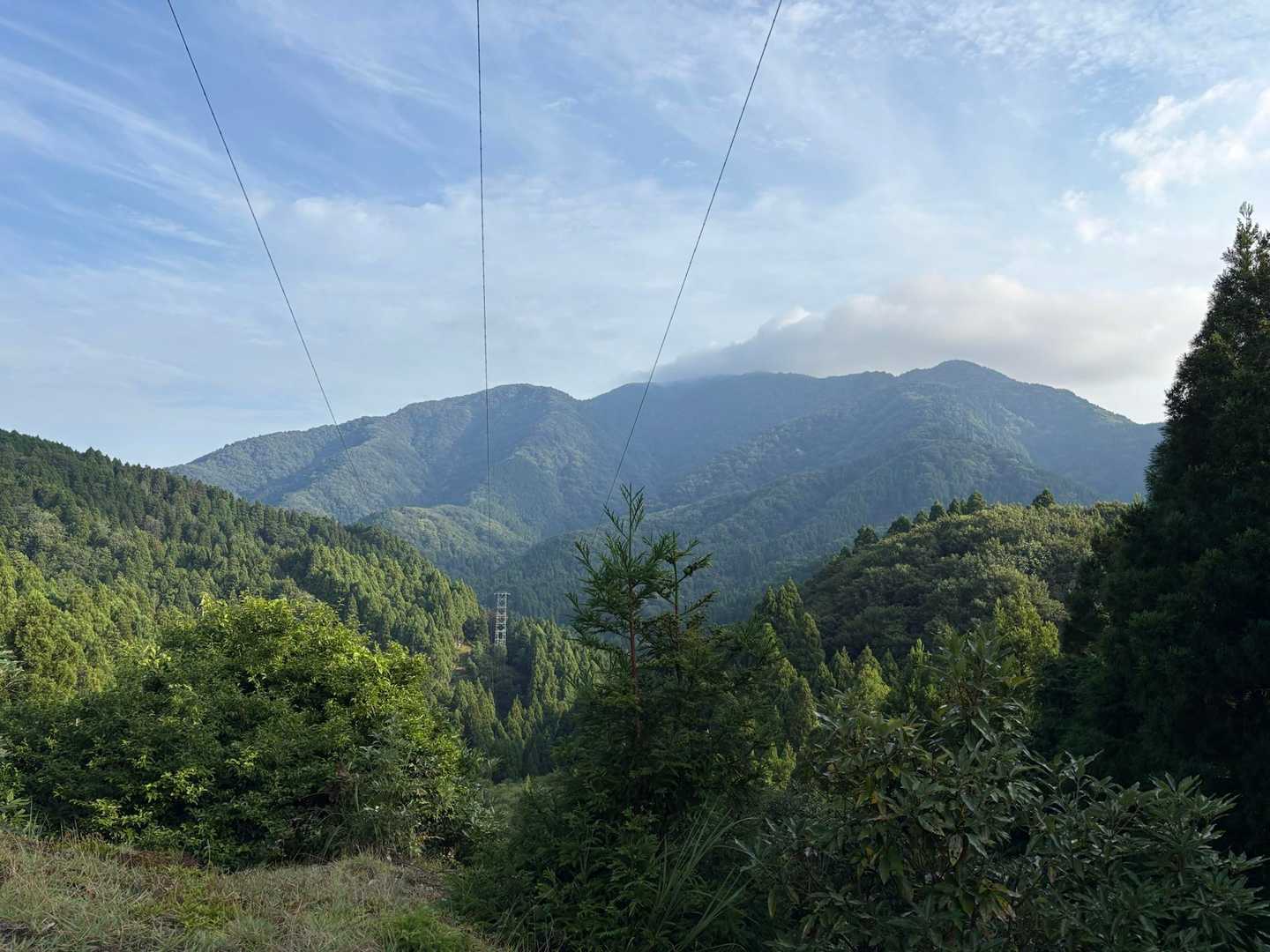 二の谷山 周回コースの写真